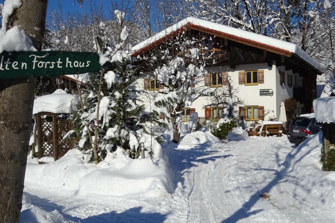 Zum Alten Forsthaus ไรท์อิมวิงเคอ ภายนอก รูปภาพ